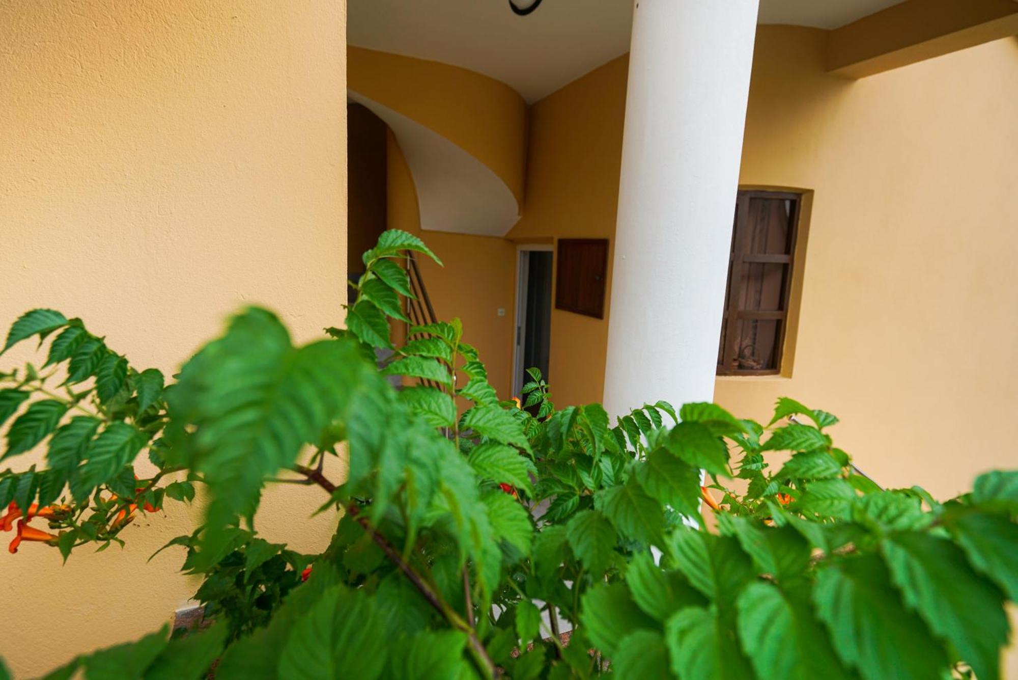 Apartments Osljak Преко Екстер'єр фото